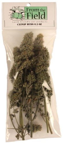 From The Field Catnip Buds, 0.5-Ounce