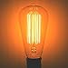 60 Watt Marconi Squirrel Cage Filament Bulb - 1910 Edison Style