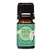 Pollen Buster OK For Kids Synergy Blend Essential Oil by Edens Garden - 5 ml (Fir Needle, Lavender, Rosalina, Geranium, Blue Tansy and Moroccan Rose)