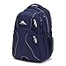 High Sierra Swerve Laptop Backpack