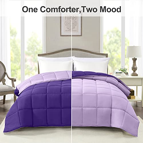 Homelike Moment Queen Lightweight Comforter Purple All Season Down