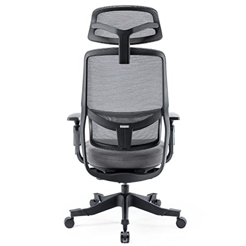 EazeeChairs Ergonomic Office Mesh Task Chair with 3Way Adjustable