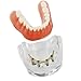 Dentalmall Implant Model Typodon Dental Model with 4 Implant Pins for Teaching Students (6008 Gold)