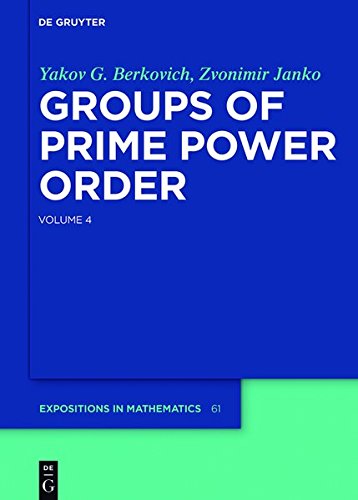 Groups of Prime Power Order 4 (De Gruyter Expositions in Mathematics)