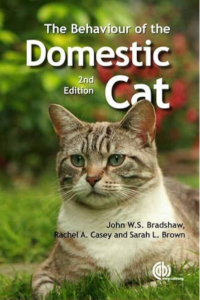 domestic cat behavior