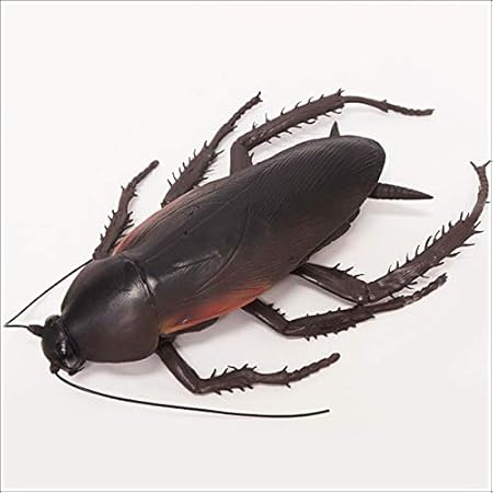 Amazon メガゴキブリ 65cm 巨大生物フィギュア ごきぶり おもちゃ 人形 いたずらグッズ 9940 ジョーク どっきり おもちゃ