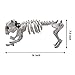 JOYIN Halloween Decoration 16” Pose-N-Stay Puppy Skeleton Plastic Dog Bones with Posable Joints for Pose Skeleton Prop Indoor/Outdoor Spooky Scene Party Favors Décor.