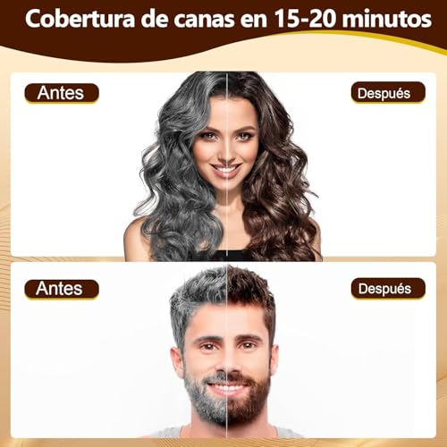 Chestnut Brown Hair Dye Shampoo 3 en 1, Champú Tinte para Cabello Marrón con Ingredientes Herbales, Cobertura de Canas, 500 ml