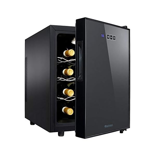 Wine-Enthusiast-12-Bottle-Compact-Wine-Cooler