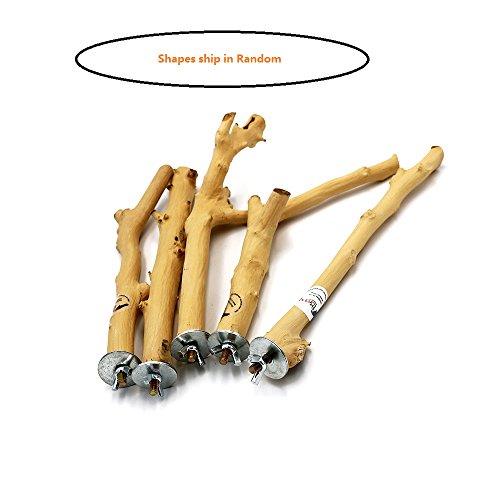 Borange Bird Perch Parrot Perches Natural Wood Branches for Parakeets for Small Large Birds Cockatiel Conure Cage Accessory (25cm/ 10 inch, diamter 1.2-1.8cm) - Thumbnail 3