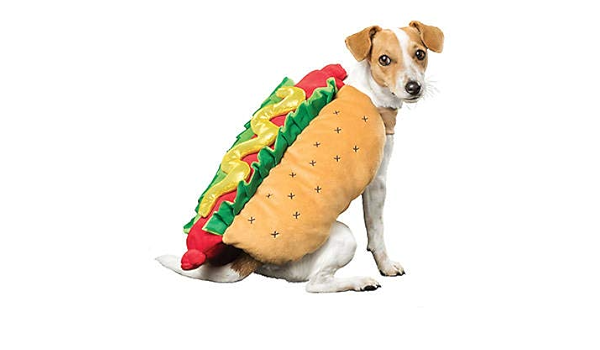 hot dog clothes