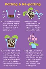 Westland Potting Compost Mix with Seramis 4L for Healthy Orchids view 2