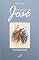 Livro Simplesmente José: Romance Baseado na Vida do Pai Adotivo de Jesus (Romances Bíblicos)