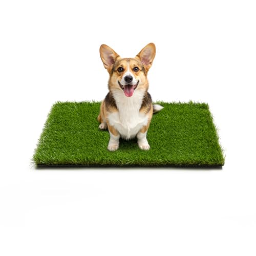 Jollyday Artificial Grass Pad