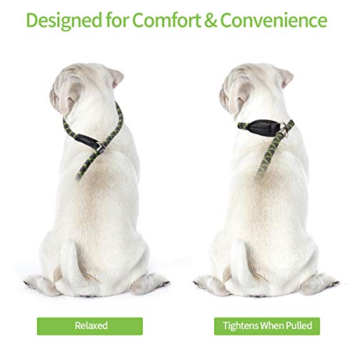 morpilot Correa de Perro, Correa de Nylon Resistente para Perros, Correa Adiestramiento Cuerda Ajustable con Mango Suave, Correa para Perro Grande Mediano Pequeño (Talla M)+ Bolsa de Basura