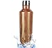Zell Vacuum Insulated Travel Water Bottle | Leak-proof Double Walled Stainless Steel Wine Shape Portable Water Bottle | No Sweating, Keeps Your Drink Hot & Cold | 25 Oz (750 ml) | Wood