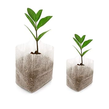 Bolsas plantas | Bolsas de plástico, de papel, de tela, personalizadas...