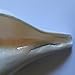 Genuine Vamavarti Shankh / Conch Shell Horn (White, 6