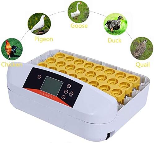 最低価格 卵インキュベーター 32 デジタ 自動 旋回 温度 コントロール ハッチャー と 導いた 卵 キャンドラー にとって 孵化 七面鳥 ガチョウ 鳥 ウズラ チキン 売れ筋一番人気