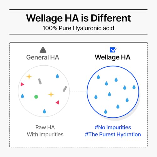 WELLAGE Real Hyaluronic Blue Ampoule 100 ([2nd Gen]2.54 Fl Oz)