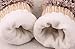 Pusheng Women Winter Cartoon Gloves Thick Knit Hottest Hedgehog Mittens (Beige)