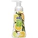 Softsoap Foaming Hand Soap, Kitchen Citrus Bliss, 8 Ounce (29280)
