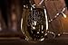 Mother of Groom, Arrow, Stemless Wine Glass, 15 oz