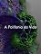 Livro A Polifonia da Vida