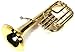 HAICHENWEI Intermediate Monel Pistons Alto Horn w/Case & Mouthpiece-Gold Lacquer Finish