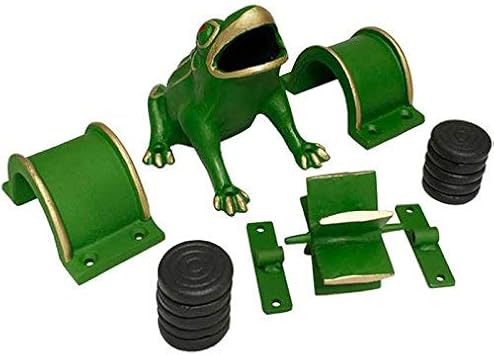 juego de la rana amazon