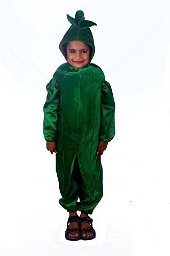 Shree Balaji Dress Big Boys' Lady Finger Vegetable Fancy Dress Cosplay Costume