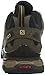 Salomon Men's X ULTRA LTR GTX Hiking Shoe absolute brown 11 M US