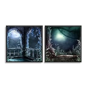 Framed Dreamscape Home Artwork for Living Room Bedroom x2 Panels