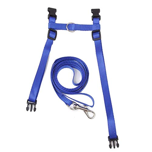 NiceButy Adjustable Pet Cat Kitten Belt Collar Leash Harness Safety Strap Traction Rope (Blue) - Thumbnail 6