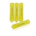 GEILIENERGY Solar Light Batteries AAA NiCd AAA 1.2V 600mAh Triple A Rechargeable Batteries for Solar Lamp Garden Lights (Pack of 4)