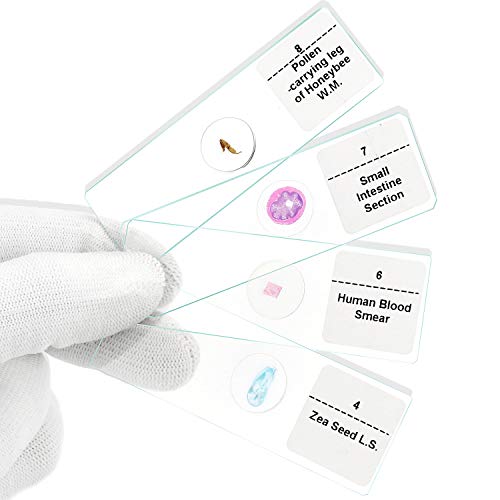 Microscope Slides, 10pc Biology Science Prepared Slides and 5pc Blank Ground Edge Slides with Storage Case - Thumbnail 4