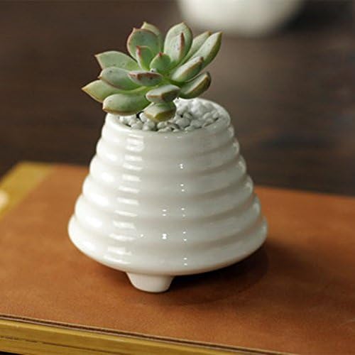 Netral Ceramic White Sucuulent Plant Pot, Planter Pot/Small Decorative Display Bowl (D018)