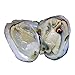 (15PCS) 2017 Fashion 7-8mm Oysters with Large Oval Pearl inside Birthday Gifts (7-8mm)