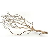 Koyal Wholesale Real Manzanita Branches, 18-Inch, Sandblasted