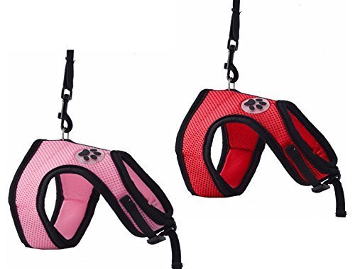 5 EXPAWLORER+Rabbit+Harness+Stretchy+Leash