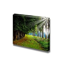 Awesome Late Saummer Park Wall Decor