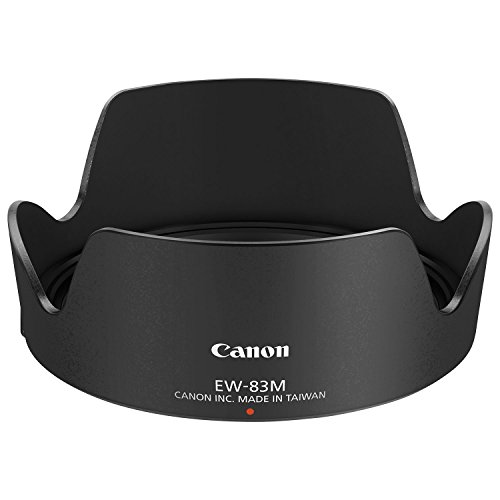 Canon EF 24–105mm f/4L IS II USM Lens + 3 Piece Filter Set + 4 Piece Close Up Macro Filters + Lens Cleaning Pen + Pro Accessory Bundle - 24-105mm II IS: Ultrasonics Motor - International Version