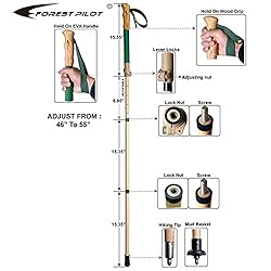FOREST PILOT Trekking Poles- 1-pc Pack - Adjustable