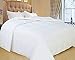 Natural Comfort White Down Alternative Comforter with Embossed Microfiber Shell, Light Weight Filled, Queen