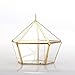 NCYP Modern Clear Glass Jewelry Box with Swing Lid, Pentagon Shape Closed Geometric Terrarium Planter Pot for Succulent Plant, Fern, Wedding Decor, Gold Container (No Plants)