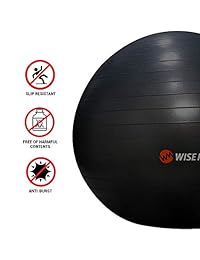WISEMAX - Silla de balón de ejercicio - Estabilidad Yoga Balón de equilibrio con base de anillo hinchable, bandas de resistencia y bomba, bandas de bucle, bolsa de transporte, póster para el hogar, oficina, postura, gimnasio, paquete - 25.6 in negro gris