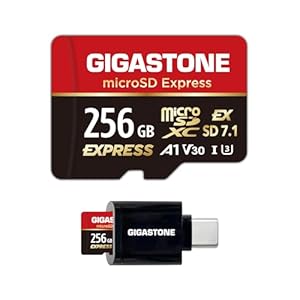 【Nintendo Switch 2動作確認済】GIGASTONE microSD Express microSDカード 256GB SD7.1
