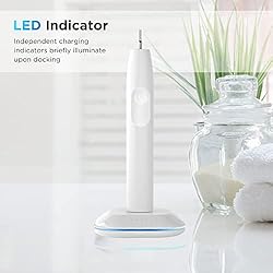 Galvanox Electric Toothbrush Replacement Charger