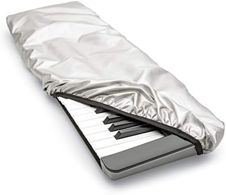 piano case 61 key