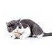 Imported Asiatic Catnip Sticks - Cat's Easter gift Silvervine Cat Treats - Pack of 5 Cat Nip Toys by Atlantic